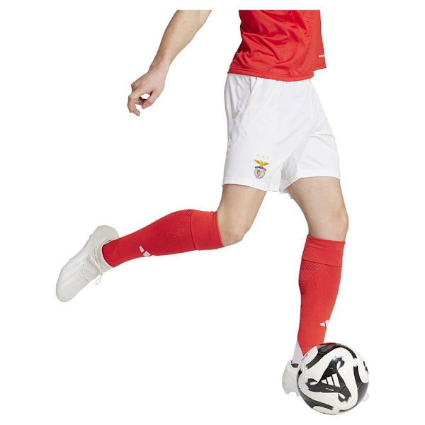 Adidas Benfica Lisboa 24/25 Shorts Hem  L