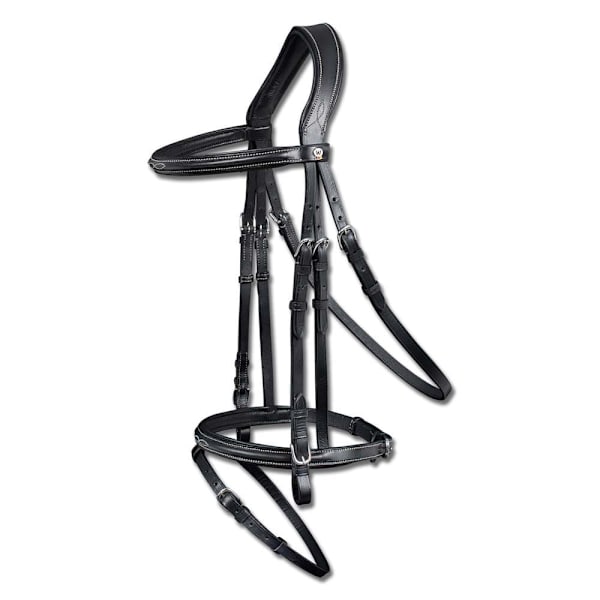 Waldhausen Tygla X-line Santander Silver Cob