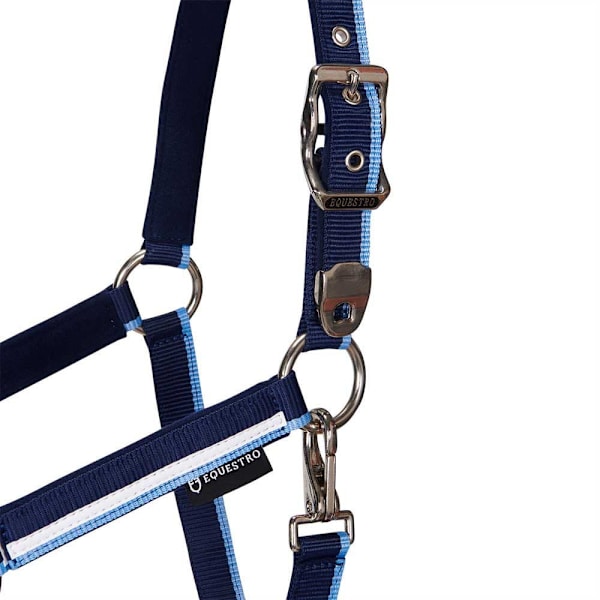 Equestro White Trim Riimu Ja Talutin  Coby