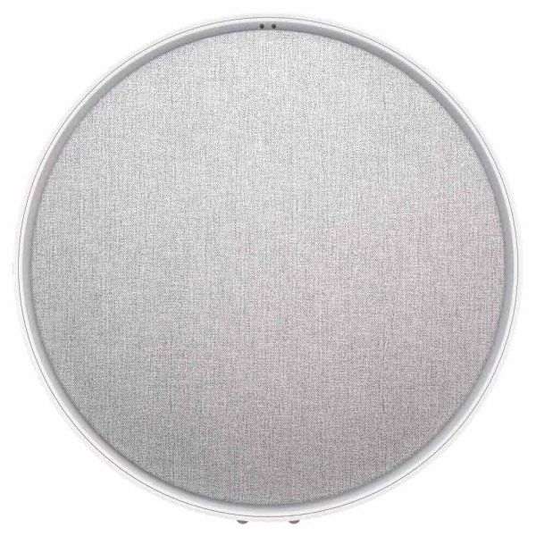 Defunc Smart Högtalare Home L