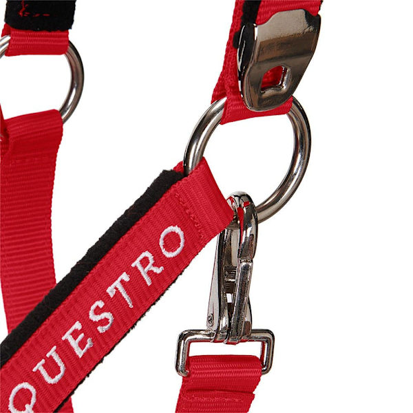 Equestro Riimu Ja Lyijy Shiny Fittings  Cob