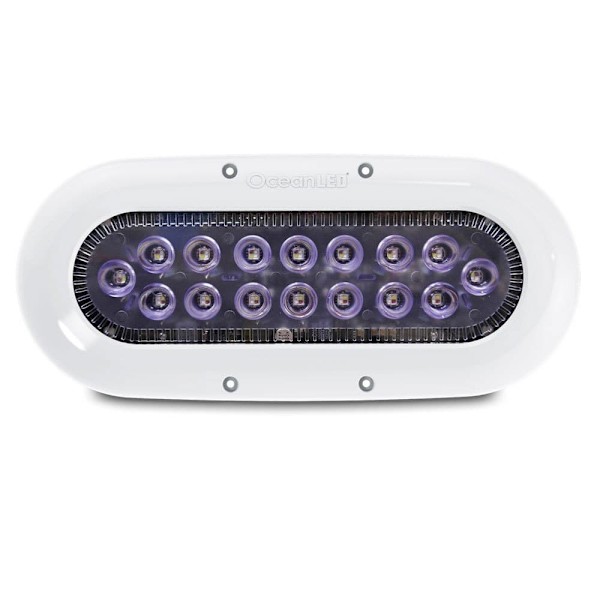 Ocean Led Led Lys X16 9-32v Transparent