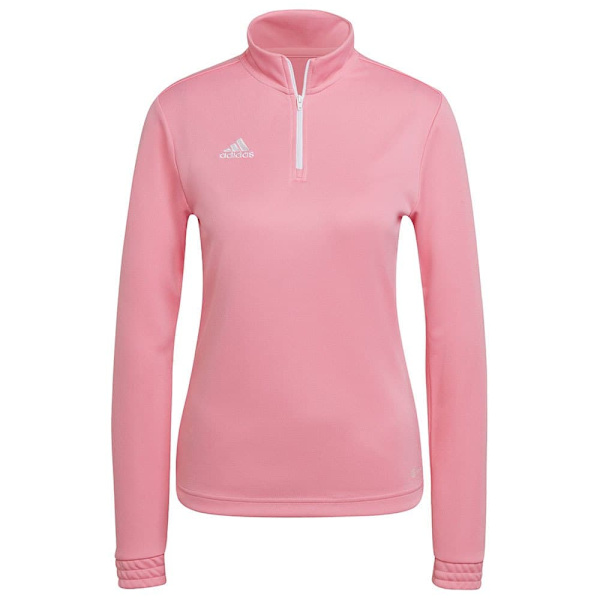 Adidas Tröja Entrada 22 Training Rosa L / Regular Kvinna