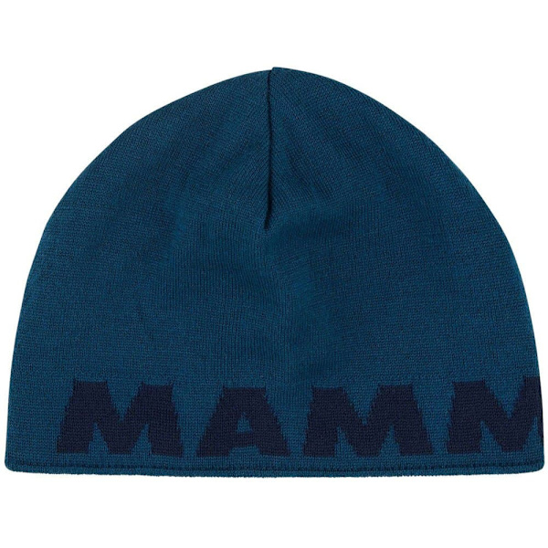 Mammut Pipo Logo Sininen  Mies