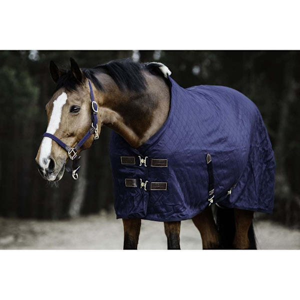 Kentucky Stabil Matta 0g  160 cm
