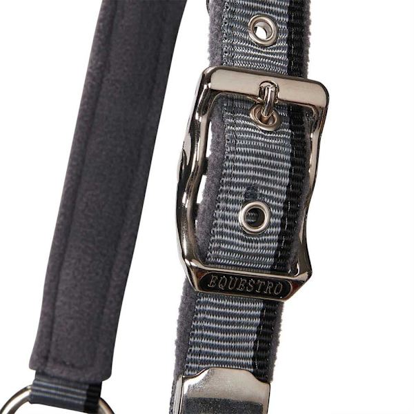 Equestro Red Trim Riimu Ja Talutin  Coby