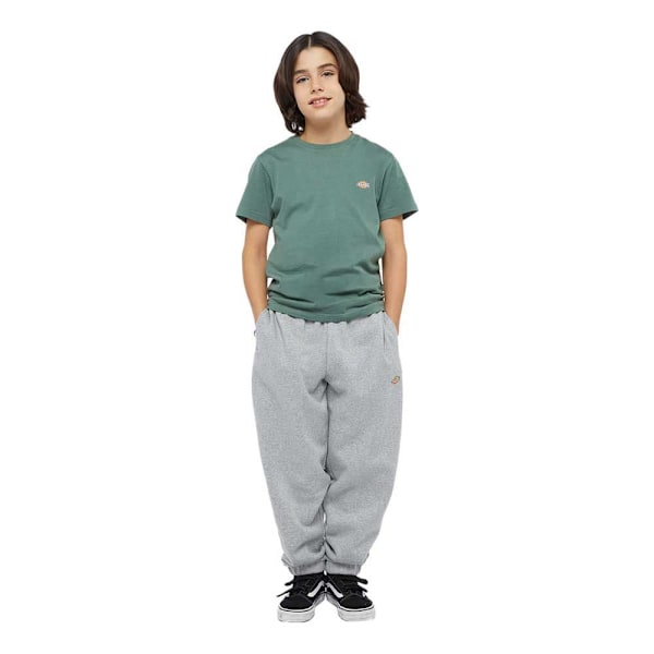 Dickies Youth Mapleton Mjukisbyxor Grå L Man