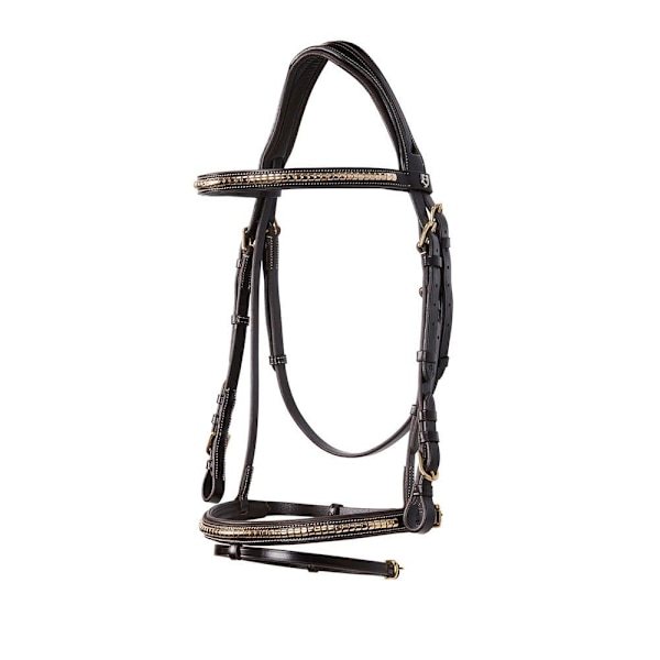 Equestro Ottone Halter  Cob
