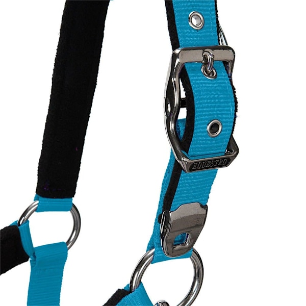 Equestro Shiny Fittings Riimu Ja Talutin Sininen Cob
