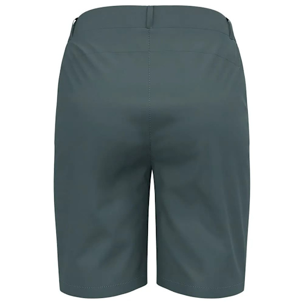 Odlo Ascent Light Shorts Grå 42 Kvinna