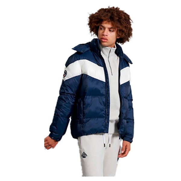 Superdry Polstret Jakke Stratus Blå M Mand