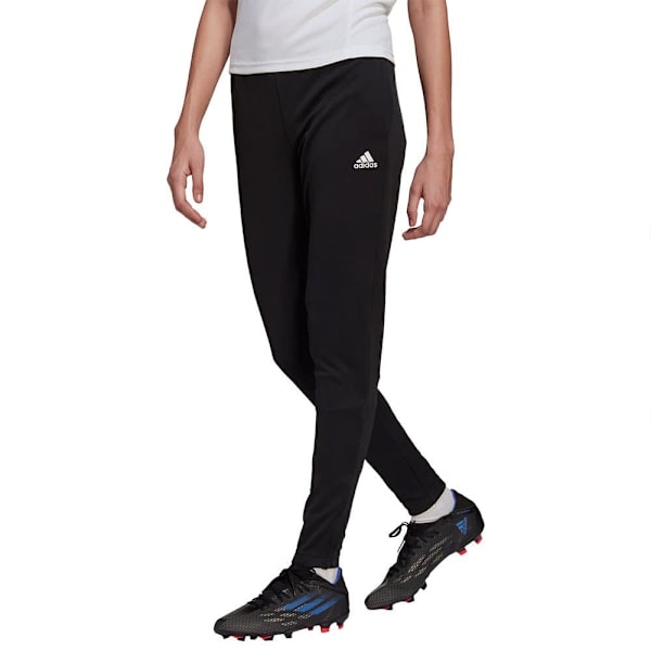 Adidas Byxor Entrada 22 Training Svart XS / Regular Kvinna