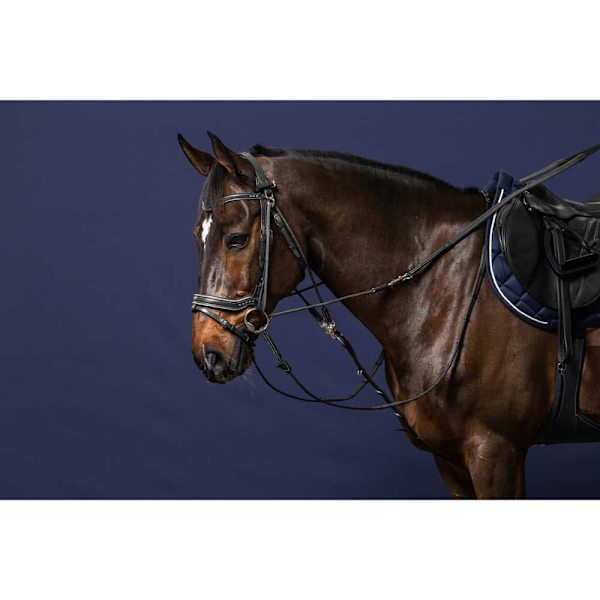 Dyon Gogue Reins Working Collection Silver Cob