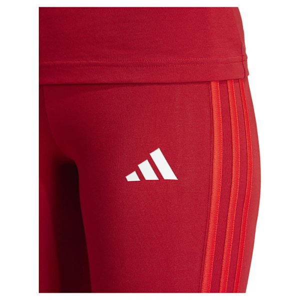 Adidas Sukkahousut Fc Bayern Munich 24/25  S