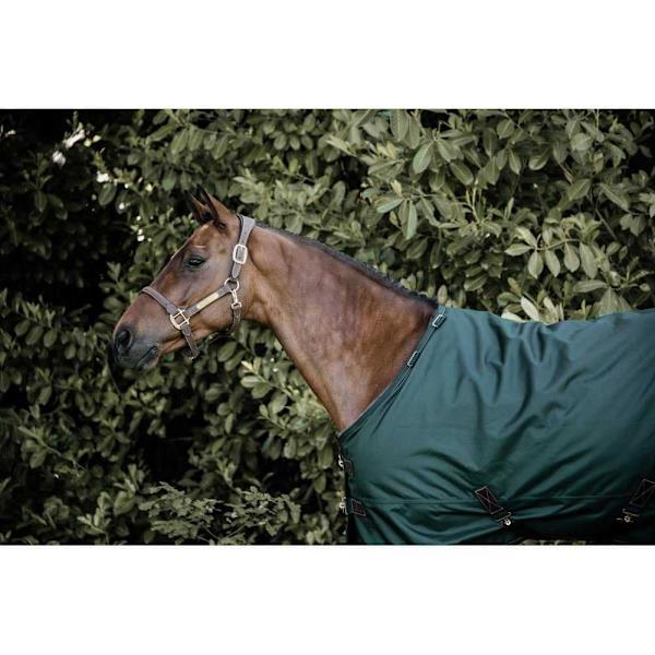Kentucky Vattentät Utomhustäcke All Weather Pro 160g Grönt 155 cm