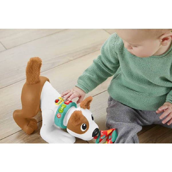 Fisher Price Krypa Med Mig Valp 123 Flerfärgad 6 Months