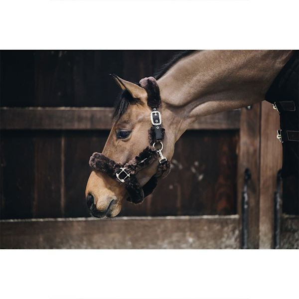 Kentucky Lampaannahkainen Shipping Riimu  Full