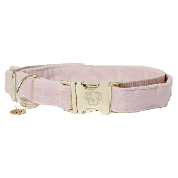 Kentucky Sammetskrage Rosa 28-40 cm