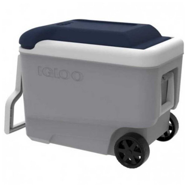 Igloo Coolers Hjul. Styv Bärbar Kylare Maxcold 40l Durchsichtig 58 x 33 x 45 cm