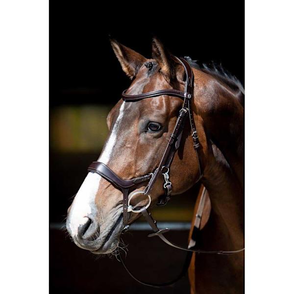Harry´s Horse Anatomic Release Suitset Ruskea Cob