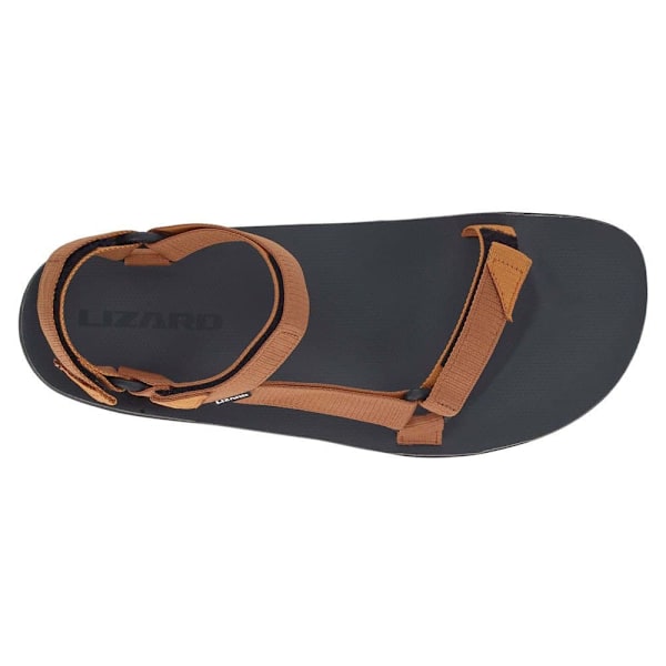 Lizard Sandaler Hike 2 Brun EU 46 Man