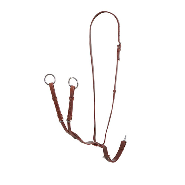 Equestro Melissa Martingal  Cob