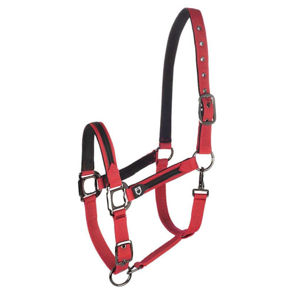 Equestro Elegance Riimu Ja Talutin  Coby