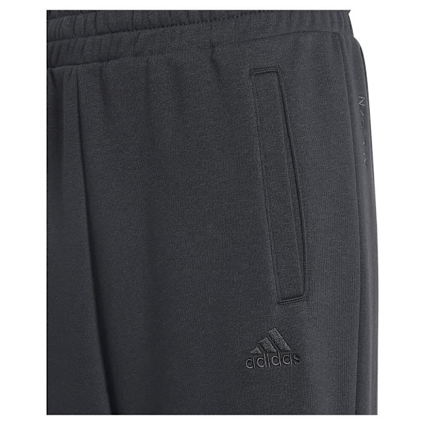 Adidas All Szn Graphic Byxor Svart 7-8 Years Pojke