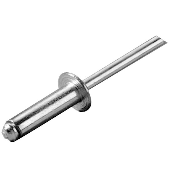 Oem Marine Nit I Rostfritt Stål 100 Enheter Silver 4.8 x 16 mm