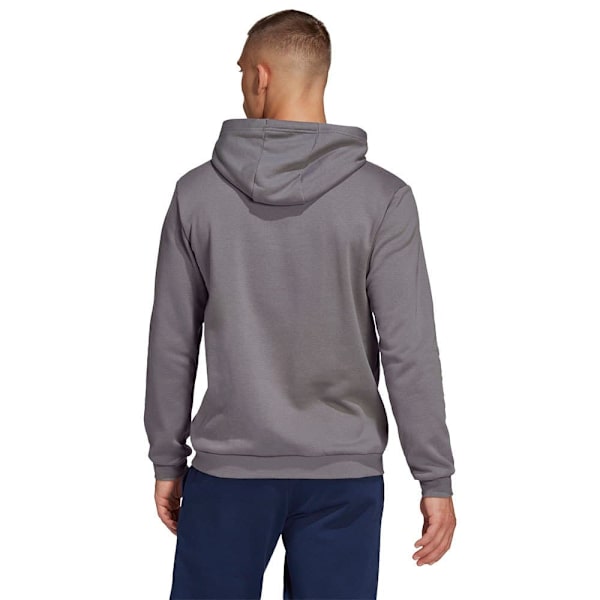Adidas Luvtröja Entrada 22 Grå 2XL / Regular Man