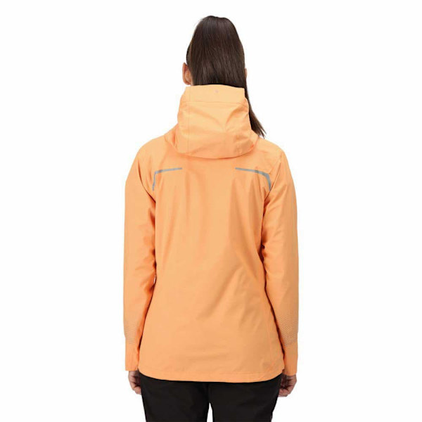 Regatta Highton Pro Takki Oranssi 8 Nainen