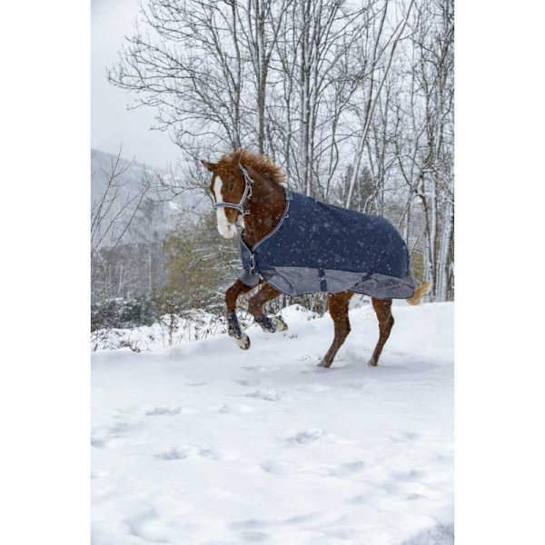 Equitheme Fodrad Valdeltagande Matta Polar Tyrex 600 D Blå 145-105 cm