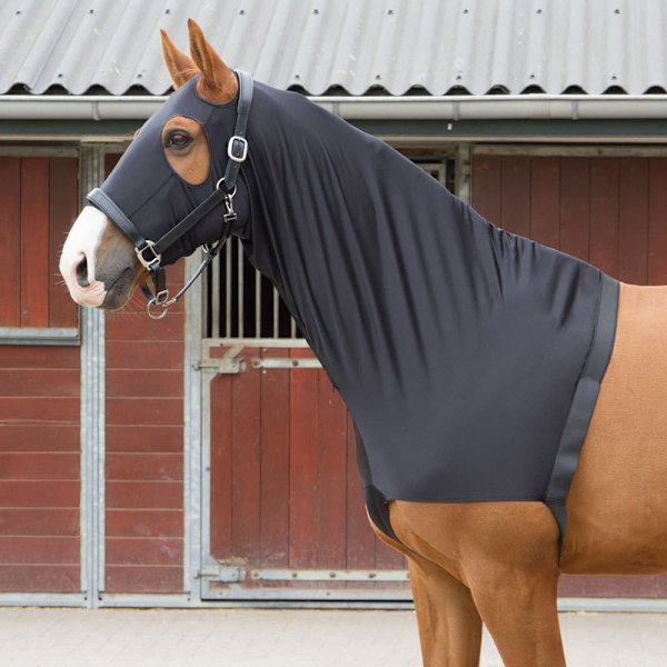 Harry´s Horse Elastiskt Bröstskydd Med Huva  M