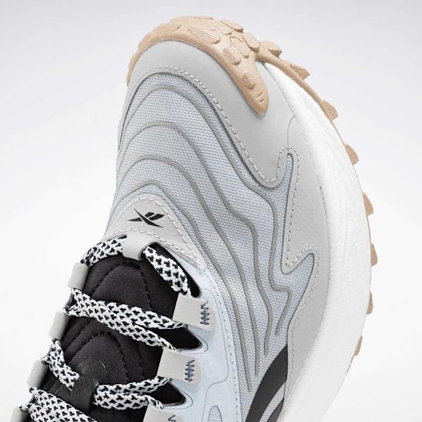 Reebok Valmentajat Floatride Energy 5 A Valkoinen,Harmaa EU 39 Nainen