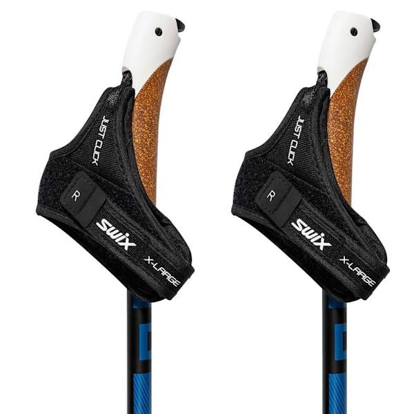 Swix Dynamic D2 Stavar Svart 170 cm