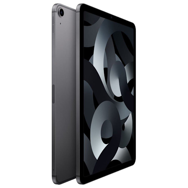 Apple Ipad Air Wifi 256gb 10.9´´ Grå
