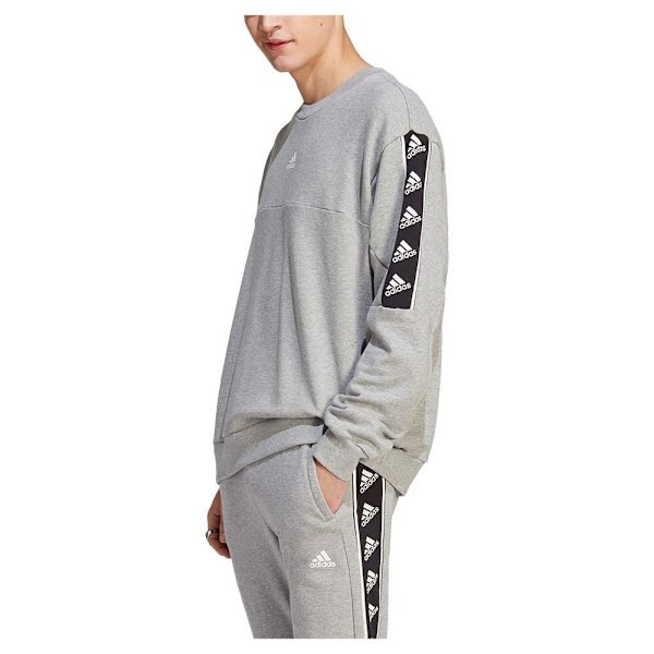 Adidas Tröja Bl Grå L / Regular Man