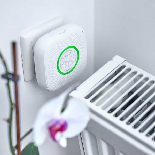 Shelly Gassensor Cng Silver