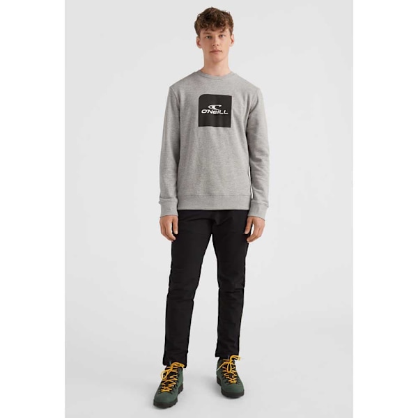 O´neill Sweatshirt Cube Grå M Mand