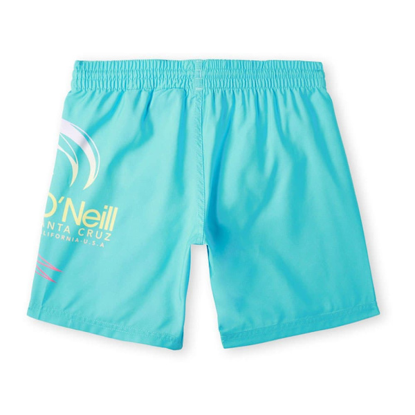 O´neill Circle Surfer 14´´ Uimahousut Sininen 9-10 Years Poika