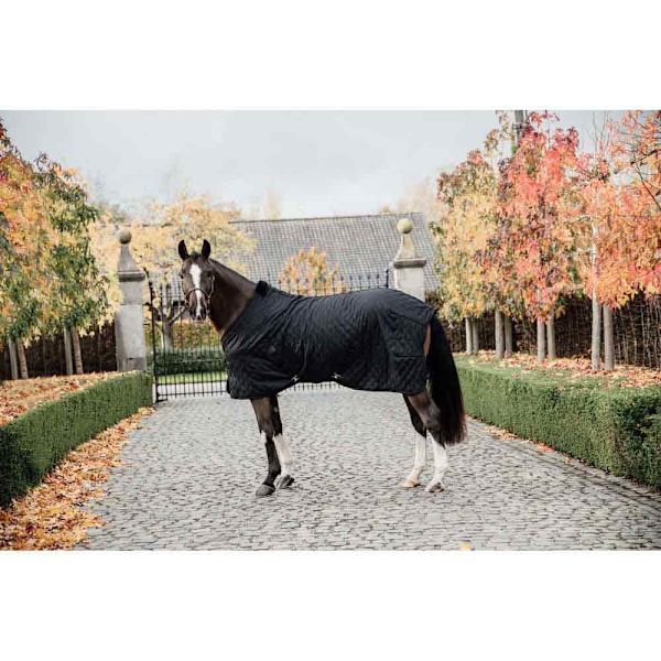 Kentucky Stabil Matta 0g  155 cm