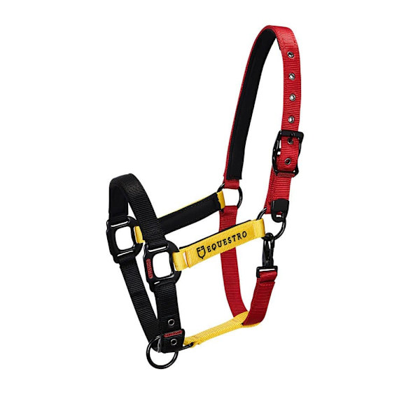 Equestro Riimu Ja Lyijy Ca00512  Cob