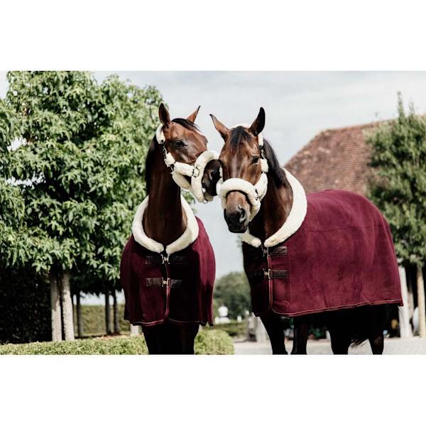 Kentucky Visa Matta Heavy Fleece  155 cm