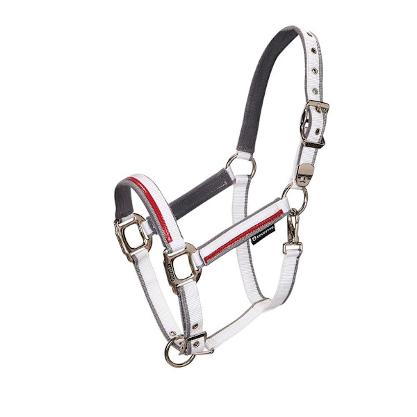 Equestro Red Trim Riimu Ja Talutin  Coby
