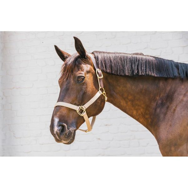 Kentucky Breakaway Halter  Cob
