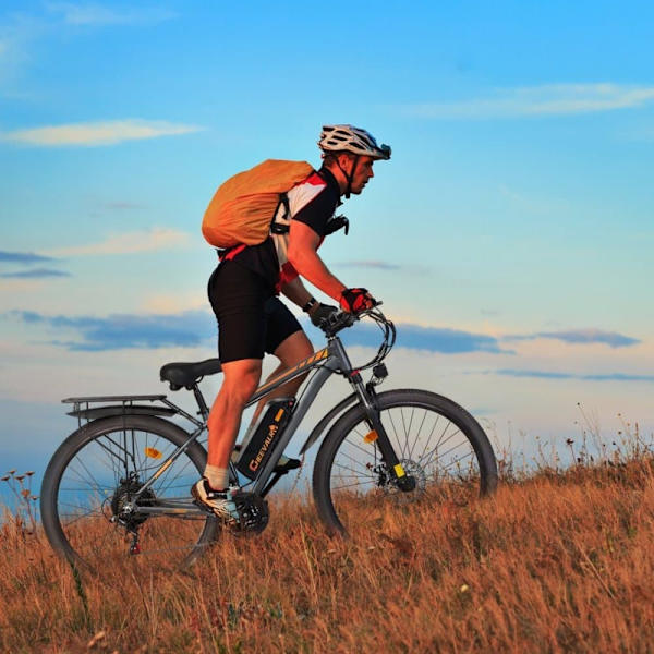 Trekking Elcykel CHEEVALRY C29, 48V 750W Motor, 21-Speed, Grå