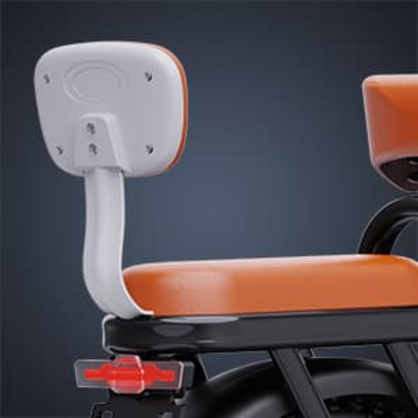 Elcykel RIDSTAR FM001, 2 sæder, 20", 1000W motor, 48V 15Ah batteri, tykke dæk
