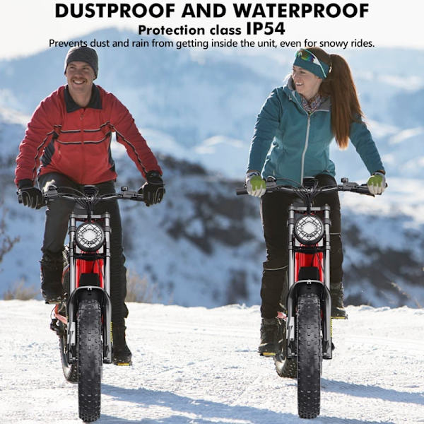 Elektrisk Dirt Bike Hidoes B6 - 20" - 1200W 48V 17.5Ah - Rød