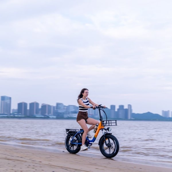 Sammenklappelig elcykel RIDSTAR MN20 - 1000W 48V 15Ah - 20" Fat Tire