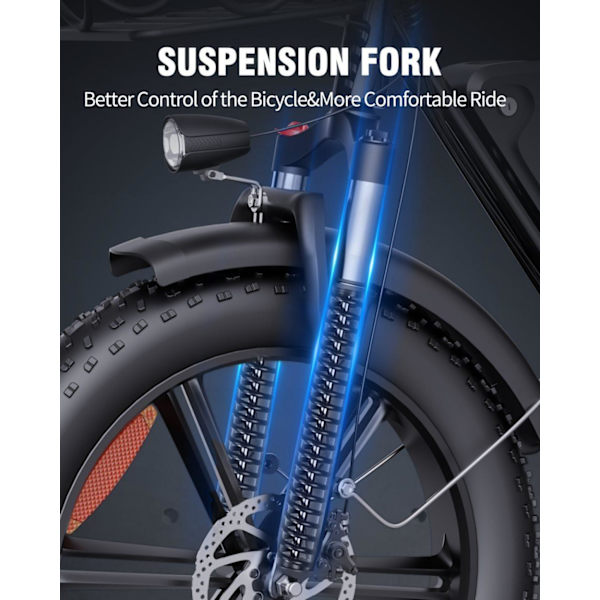 Elcykel RIDSTAR FM001, 2 sæder, 20", 1000W motor, 48V 15Ah batteri, tykke dæk